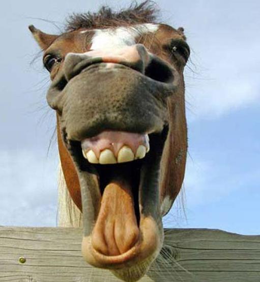 Nuevas definiciones Nuevas definiciones