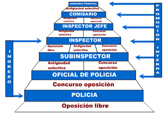 grafico_escalas